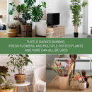 10.5cm x 10.5cm Gold Plant Stem Supports 4 Pack - Indoor Plant Stakes for Tall Plants, Monstera - Plant Anchoring Hooks for Indoor Gardens