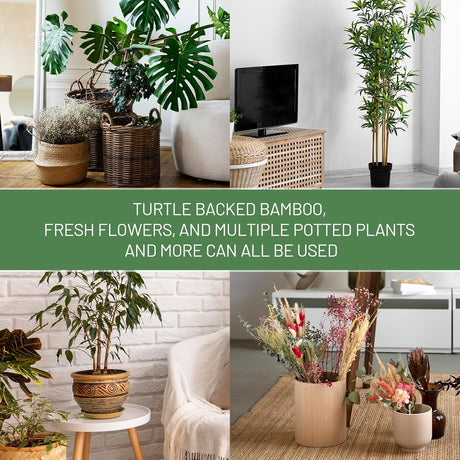 10.5cm x 10.5cm Gold Plant Stem Supports 4 Pack - Indoor Plant Stakes for Tall Plants, Monstera - Plant Anchoring Hooks for Indoor Gardens