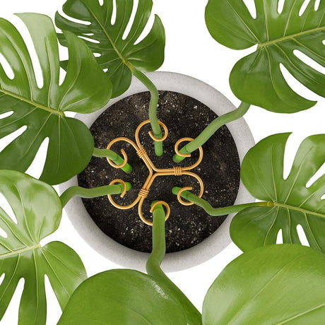 10.5cm x 10.5cm Gold Plant Stem Supports 4 Pack - Indoor Plant Stakes for Tall Plants, Monstera - Plant Anchoring Hooks for Indoor Gardens