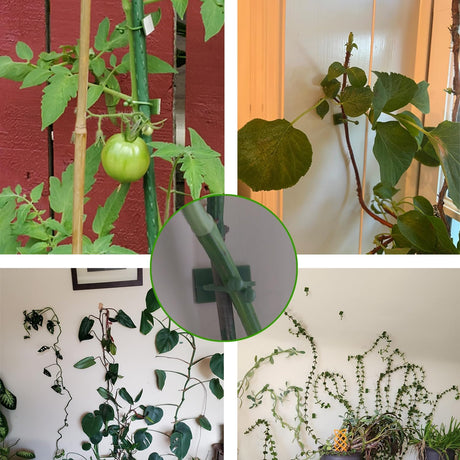 Green Plant Stem Supports for Indoor Use - Tall Plant Stakes for Monstera - Plant Anchoring Clips - 120 Pieces