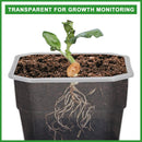 12 Pcs Reusable Green Seedling Starter Pots - Mini Succulent Planters for Seed Germination