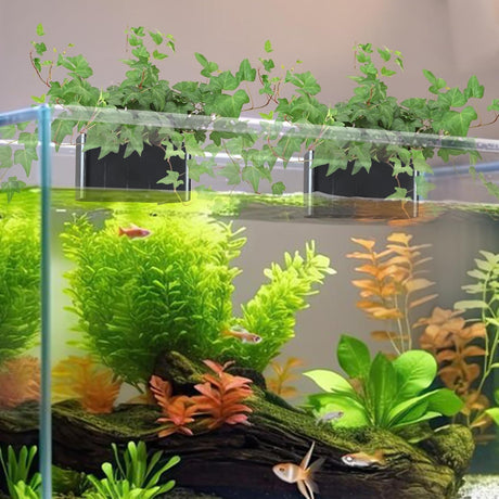 Hydroponic Aquarium Plant Holder 2 Pack Black 9x9x6cm for Aquascape Plant Cultivation