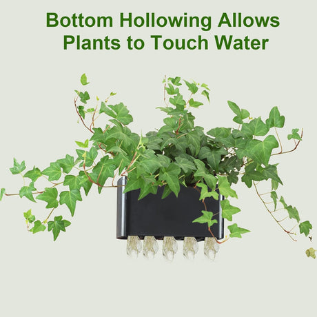 Hydroponic Aquarium Plant Holder 2 Pack Black 9x9x6cm for Aquascape Plant Cultivation