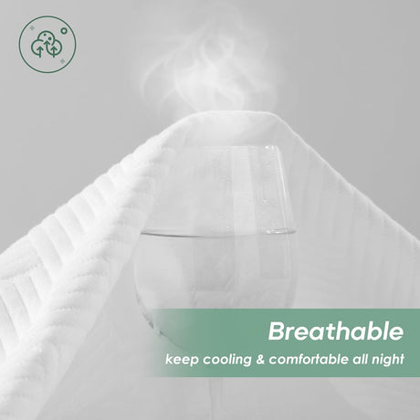 Queen Size 100% Waterproof Mattress Protector, Mattress Pad Cover Fitted 8