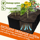 2 Pack Fabric Raised Garden Beds, 2x2x1 FT – 4 Grids Grow Bed for Square Foot Gardening, Planting Box for Vegetables, Herbs, Flowers