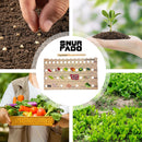 Plant Ruler by  – Wooden Seed Spacing Tool for Vegetable Gardens – Garden Planting Guide for Precise Row Planting in Raised Beds & In-Ground Soil
