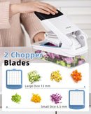 Vegetable Chopper with Container, 2 in 1 Manual Hand Food Chopper with 2 Stainless Steel Chopping Blades for Potato Strips, Onion Cubers, Carrot Sticks, White & Black