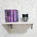 Resin Owl Statue Home Decor - Black Owl Sculpture, Bird Statue, Small Accents for Bedroom, Office, Garden, Bookshelf, TV Stand Figurines(Black)