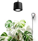 TR40 Hanging Grow Lights for Indoor Plants, 40W 5000K Full Spectrum, Adjustable Beam Angle (15°-60°), High PPFD, Spotlight Grow light with Timer for Indoor Growing, Large Tall Plant, Flowers ﻿