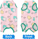 Recovery Suit for Dogs After Surgery, Breathable Dog Onesie Surgical Spay Suit for Female Dogs, Cute Dog Surgery Recovery Suit