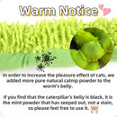 Petluno Cat Catnip Toy for Indoor Cats, Chew Teeth Cleaning, Bite-Resistant Plush Caterpillar Design, Dental Health Benefits, Green