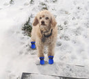 Petluno Antislip, dog boots, paw protection, these comfortable dog boots with soft soles are equipped with reflective straps (6, blue) Blue 6