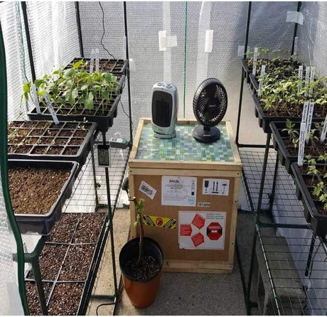 Petluno 4-piece seedling trays, 24-cell plastic seedling propagation trays, flower seed growing containers with adjustable ventilation openings for greenhouse, garden, home (with lids and bases)