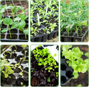 120 cell seedling starter tablets reusable, mini propagator, greenhouse growing kit, plant growing trays for indoor greenhouse plastic germination trays nurseries, growing