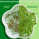 Petluno 4 pieces seedling pots with lids, 16 cm seedling pot BPA-free healthy hydroponic growing pot soil-free sprouting container for growing mung beans, alfalfa, wheatgrass
