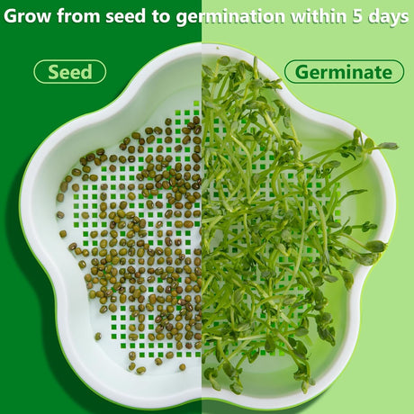 Petluno 4 pieces seedling pots with lids, 16 cm seedling pot BPA-free healthy hydroponic growing pot soil-free sprouting container for growing mung beans, alfalfa, wheatgrass
