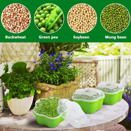 Petluno 4 pieces seedling pots with lids, 16 cm seedling pot BPA-free healthy hydroponic growing pot soil-free sprouting container for growing mung beans, alfalfa, wheatgrass