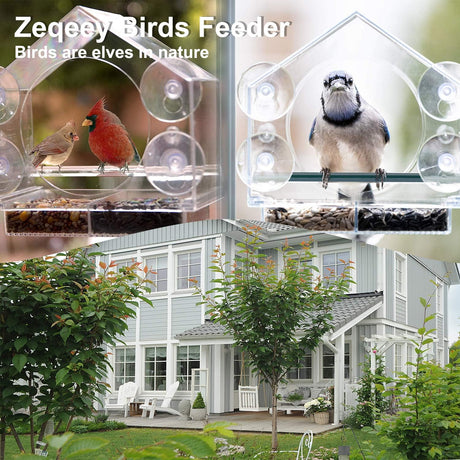 Strong suction window bird feeder, large capacity window bird feeder with removable seed tray and drainage holes for bird food, suitable for Dunnock, Blue Tit, Robin and small wild birds, 21 cm x 20 cm x 10 cm