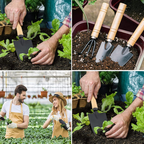 Garden tool set, 3-piece garden tool set, garden trowel, small, wooden handle, hand trowels, small garden set for bonsai, tool, plant pot, flowers