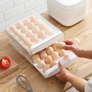 Petluno Egg Container for Fridge, 40 Grid/2 Tier Egg Holder, Fresh Egg Storage Box, Egg Tray and Egg Storage, Clear Plastic