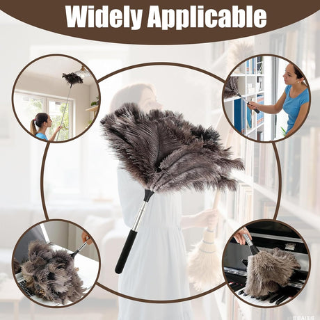 Feather duster, extendable, telescopic cleaning cloth, washable, ostrich feathers, cobweb duster with telescopic handle, cleaning supplies, home, car, office