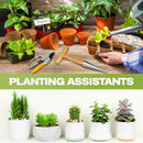 Flower bulbs, plant stakes, flower bulbs with T-grip, bulb planting aids, onion sets, garden vegetables, flowers and tulip bulbs
