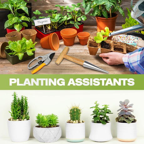 Flower bulbs, plant stakes, flower bulbs with T-grip, bulb planting aids, onion sets, garden vegetables, flowers and tulip bulbs
