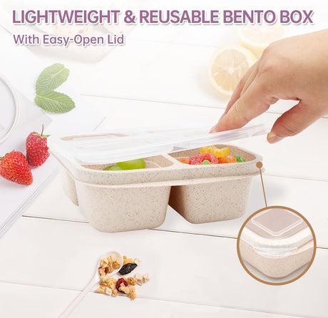 5 Pack Bento Lunch Box，4 Compartment Snack Containers，Divided Bento Snack Box，Meal Prep Lunch Containers, Lunch Box Kids/Toddle/Adults,Food Storage Containers for School, Work and Travel (5 pack)