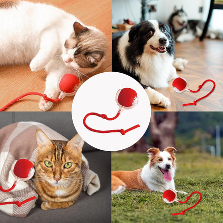 Interactive Rolling Dog Ball, Interactive Cat to-ys Rolling Ball Chewie Viral Dog Ball, Smart Automatic Rolling Pet Ball for Cats Dogs Motion Activated