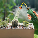 Mini Watering Can Indoor Plants, Small Seedling Watering Can Outdoor, Tiny Succulent Bottle for Indoor Plants for Kids Gardening (Green)