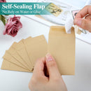 180 Pack Coin Envelopes 2.35"3.5", Brown Kraft Small Seed Packets, Full-Flap Seal Mini for Office, Home, School -