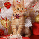 3 Pack Cat Collars, Christmas Flower Kitten Collars with Adjustable Breakaway Bow Tie Bell Plaid Snowflake Xmas Pet Supplies for Cats