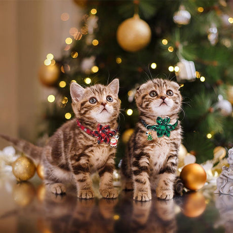 3 Pack Cat Collars, Christmas Flower Kitten Collars with Adjustable Breakaway Bow Tie Bell Plaid Snowflake Xmas Pet Supplies for Cats