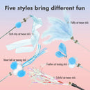 Cat Wand Toys, 5Pcs Interactive Kitten Feather Wand Toys for Bored Indoor Cats, Cat Teaser Wand with Bell and Crinkly Paper, Blue