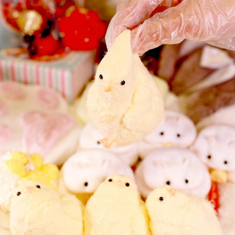 Handmade Chick Squeeze Toys Ultra Soft Squishy Fidget Toys Silicone Squishies Toys for Stress Relief ( Chicken ) (1pcs)