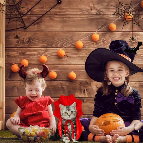 Halloween Pet Cape Costume - Vampire Cloak, Wizard Outfit, Witch Cosplay Apparel, Party Costumes for Small Medium Dogs and Cats - Pet Supplies Accessories