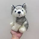 Husky Chalk Bag Rock Climbing Chalk Bag