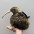 Kiwi Chalk Bag Rock Climbing Equipment