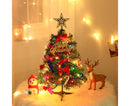 Mini Christmas tree Decorations