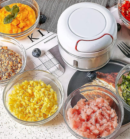 Vegetable Chopper, Mini Onion Chopper, Multi Chopper, Manual Small Onion Chopper, 170ml, White