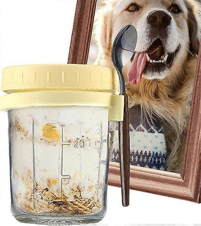 Oats Jars with Lids & Spoon Breakfast On The Go Cups Airtight Large Storage Jars