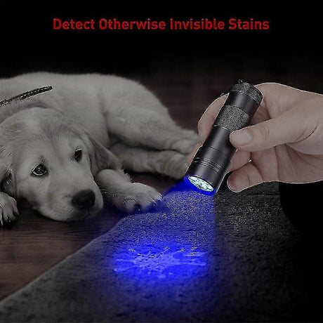 12 LED UV Flashlight Purple Ultraviolet Torch for Detection or Cleaning Use