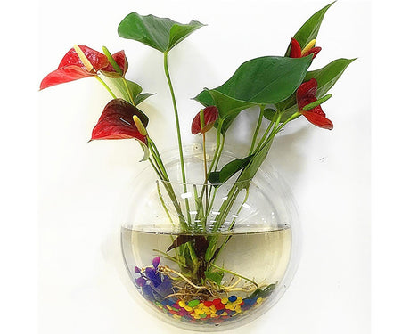 1 Set Fish Tank Decorative Wall Mounted Hanging Flower Vase-Transparent