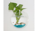 1 Set Fish Tank Decorative Wall Mounted Hanging Flower Vase-Transparent