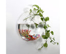 1 Set Fish Tank Decorative Wall Mounted Hanging Flower Vase-Transparent