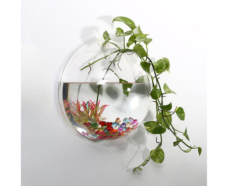 1 Set Fish Tank Decorative Wall Mounted Hanging Flower Vase-Transparent
