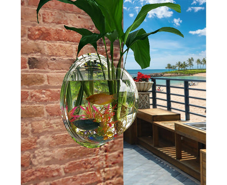 1 Set Fish Tank Decorative Wall Mounted Hanging Flower Vase-Transparent