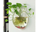 1 Set Fish Tank Decorative Wall Mounted Hanging Flower Vase-Transparent