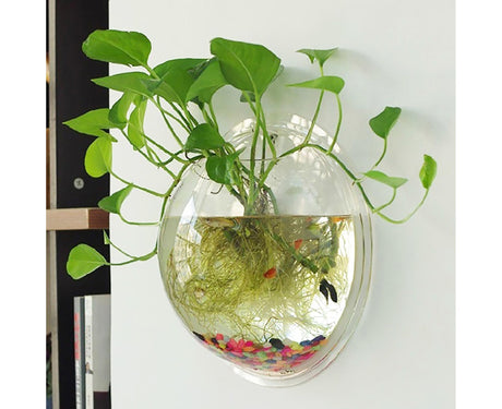 1 Set Fish Tank Decorative Wall Mounted Hanging Flower Vase-Transparent
