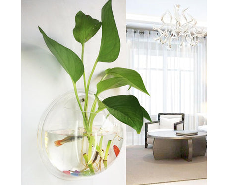 1 Set Fish Tank Decorative Wall Mounted Hanging Flower Vase-Transparent